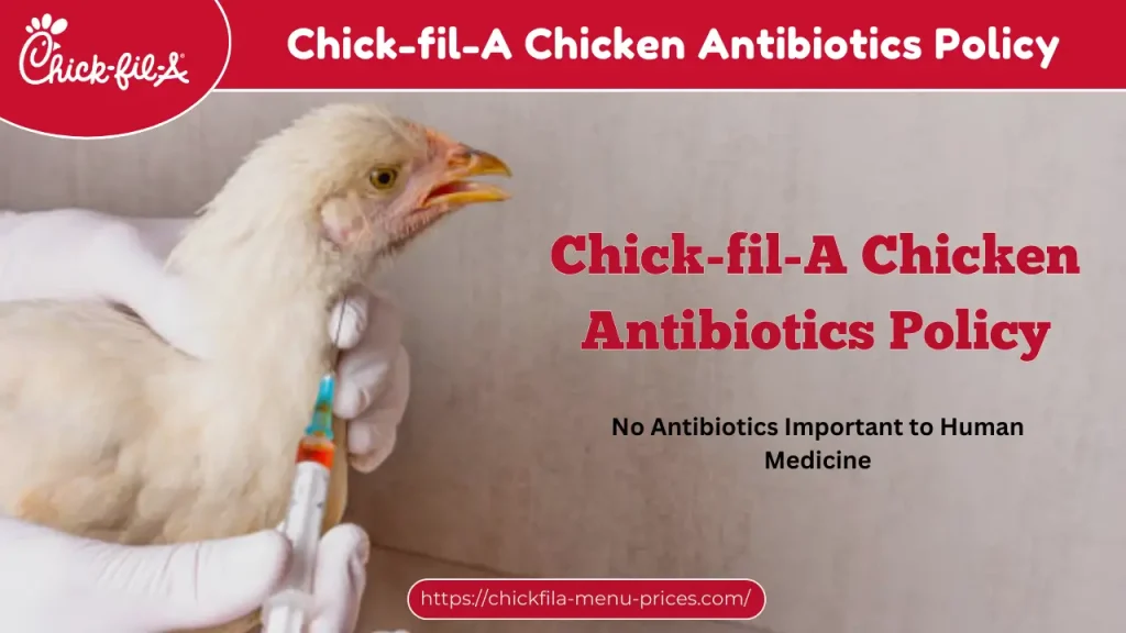 Chick-fil-A Chicken Antibiotics Policy